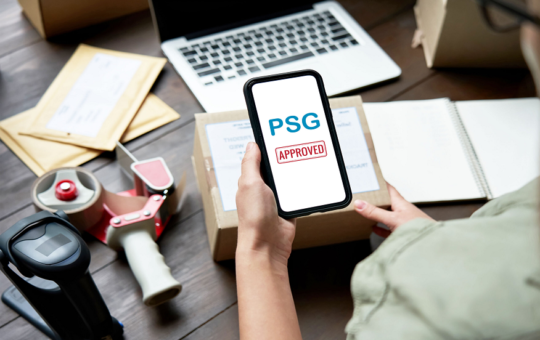 PSG e-commerce grant